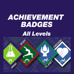 Achievement Badges