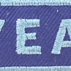 5 Year Badge